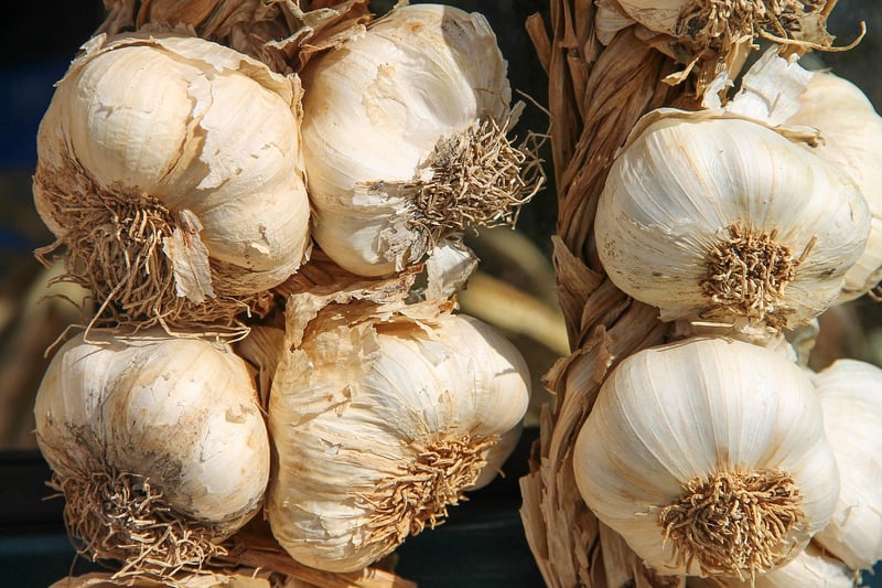 Diverse Culinary Influences