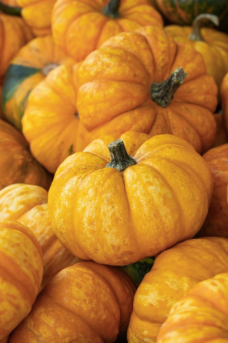 Seasonal Vegetables and Fruits